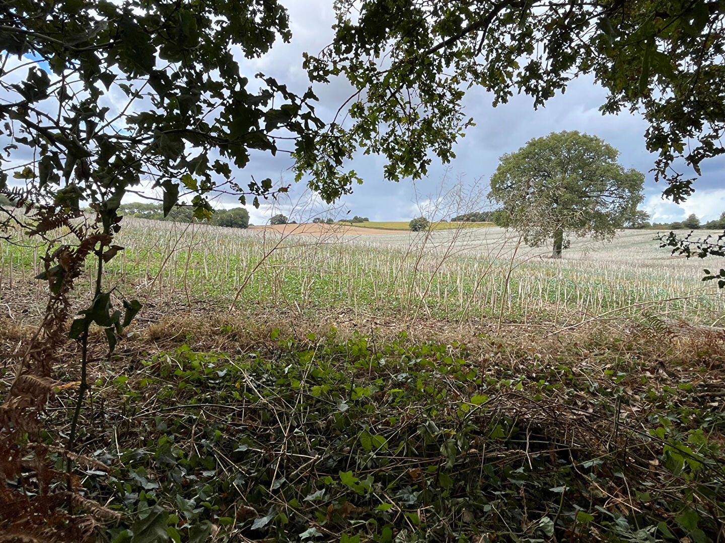 Photo SAINT-GANTON (35) 2 bâtiments à rénover sur terrain isolé de 1200 m² env. image 4/4