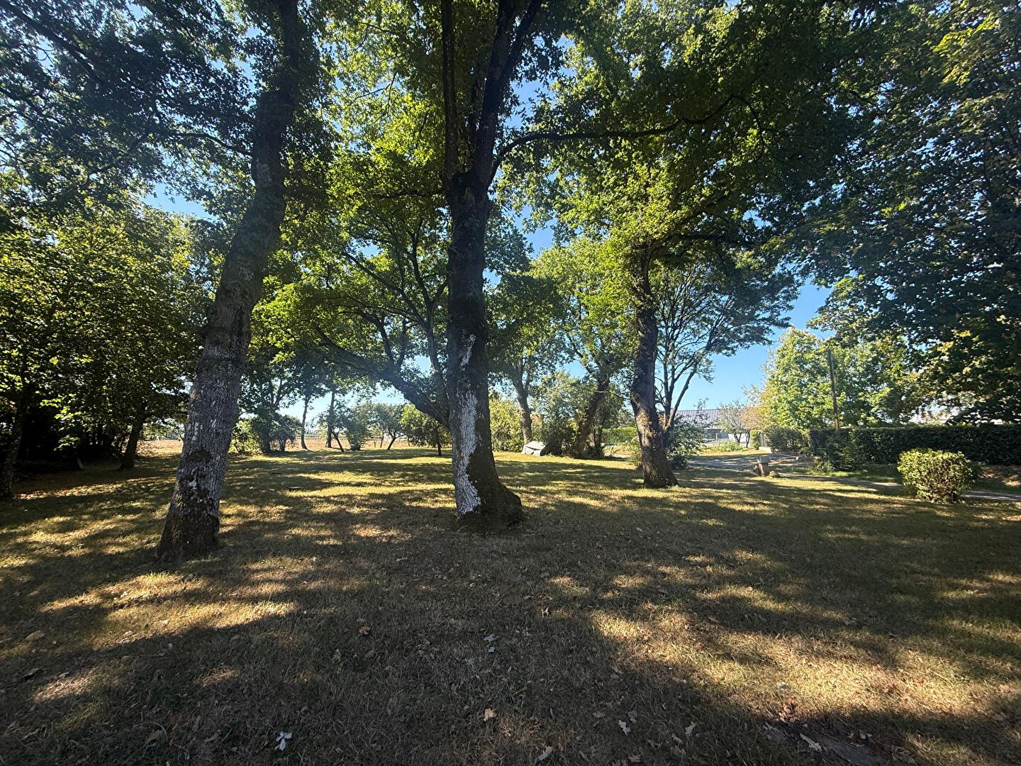 Photo Belle Longère de Caractère avec Potentiel, à 10 min de l'axe Rennes Redon image 3/6