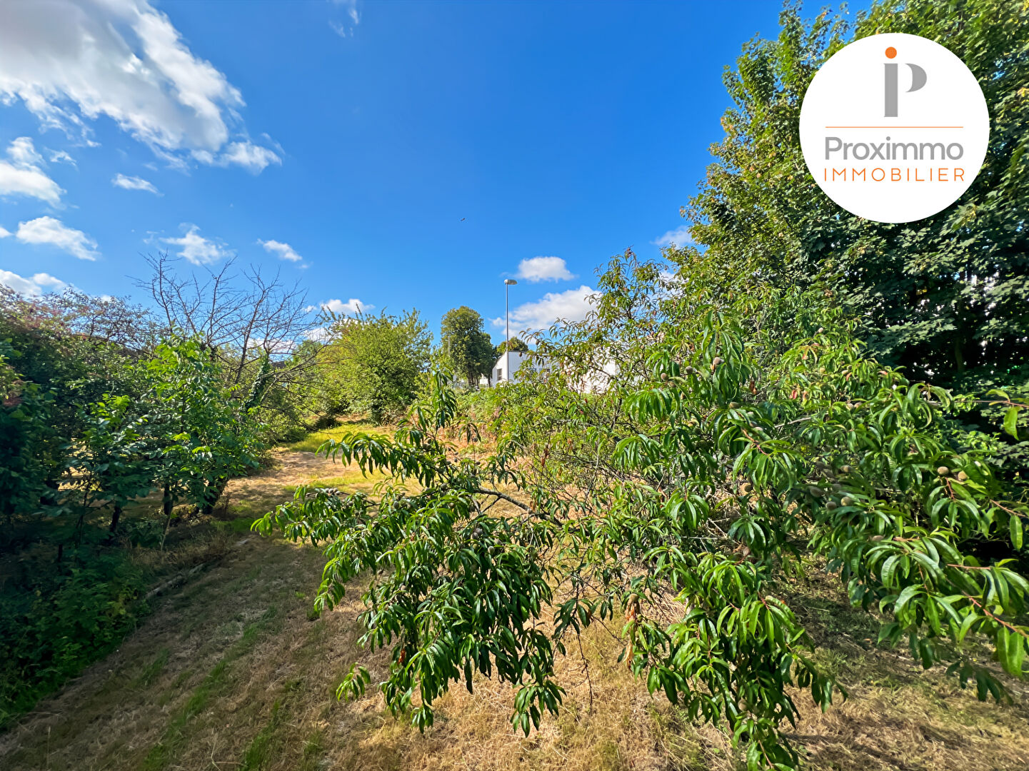 Photo TERRAIN ZONE UBB AVEC PETITE CONSTRUCTION - 995 m² - BAIN DE BRETAGNE image 3/6