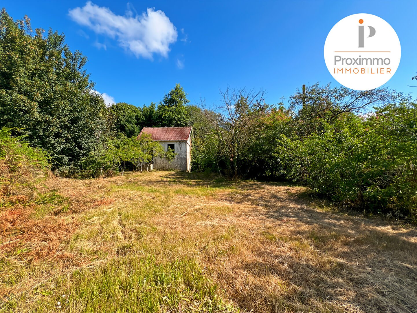 Photo TERRAIN ZONE UBB AVEC PETITE CONSTRUCTION - 995 m² - BAIN DE BRETAGNE image 4/6