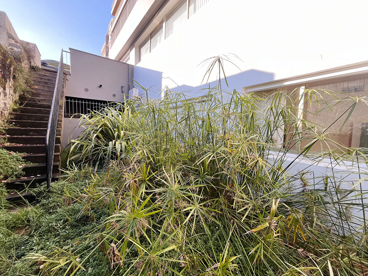 Photo Local professionnel de 451m2 avec 5 parkings image 3/6