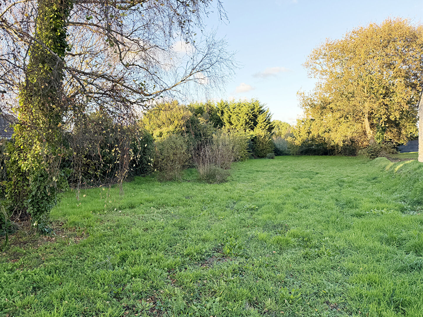 Terrain à bâtir de 786 m2