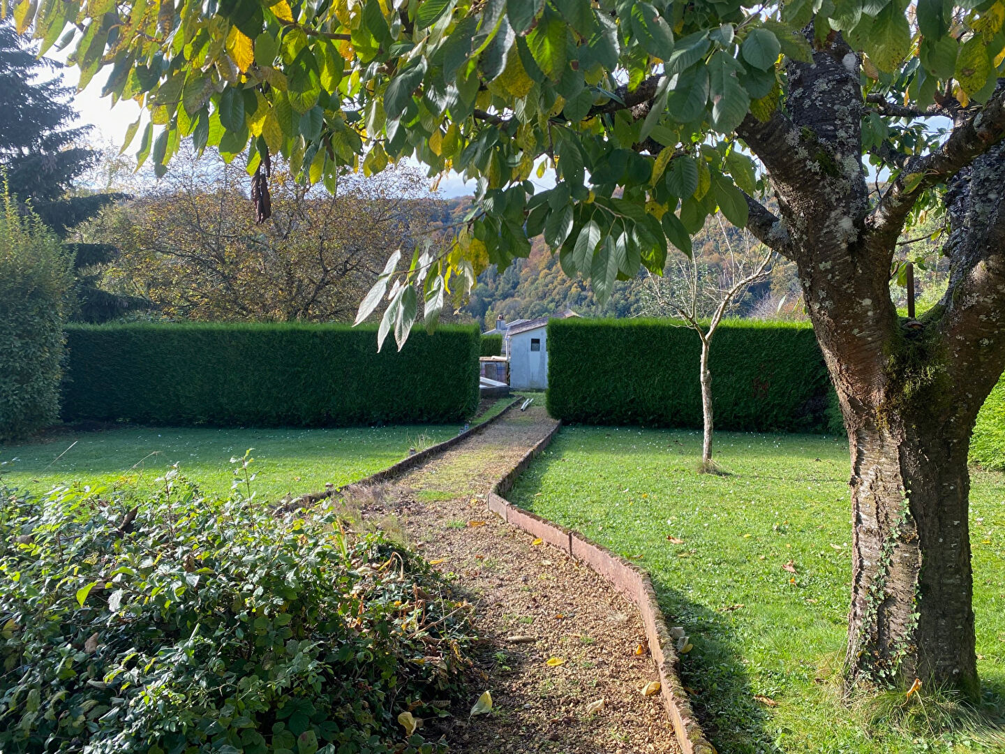 Photo BAISSE DE PRIX  : TRES BELLE MAISON AVEC PISCINE ET JARDIN image 6/6