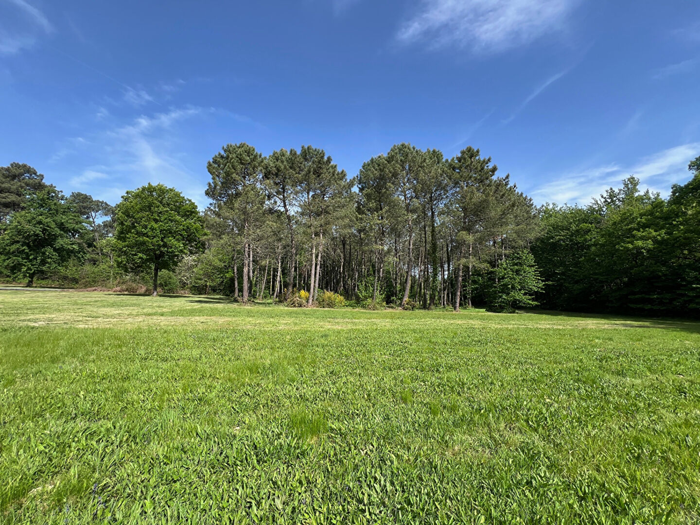 Maison en cours de construction à proximité de Villeréal