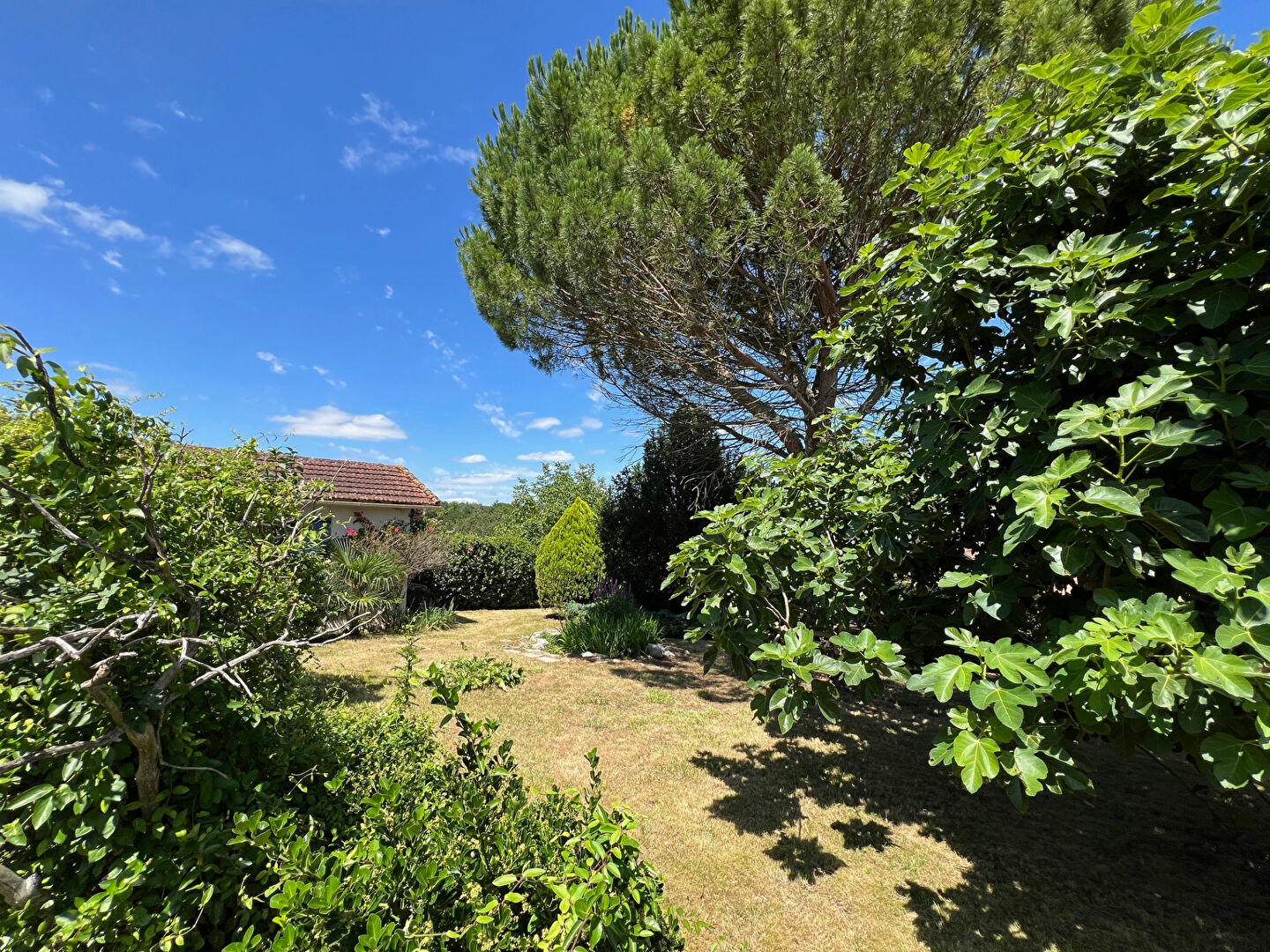 Maison La Sauvetat Sur Lede