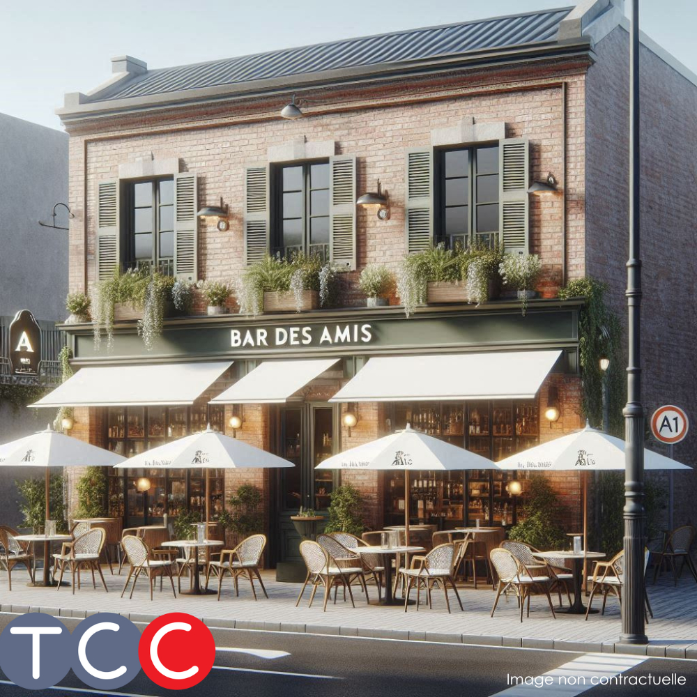 Fonds de commerce à vendre - Cafés et bars - Toulouse (31000) - 1 688 000 €