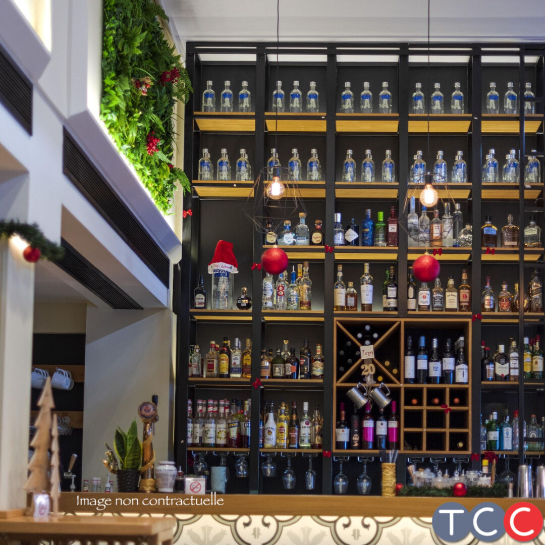 Fonds de commerce à vendre - Cafés et bars - Albi (81000) - 376 250 €