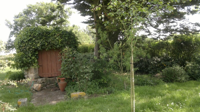 Photo BOURNEZEAU. Maison avec 1h73 de terrain! image 2/2