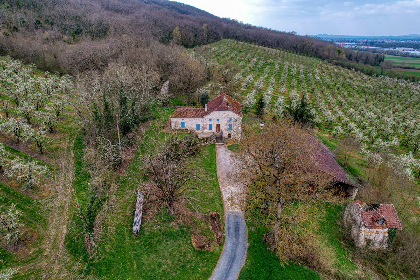 Photo Maison en pierre avec dépendance aux portes de Villeneuve sur Lot image 4/6