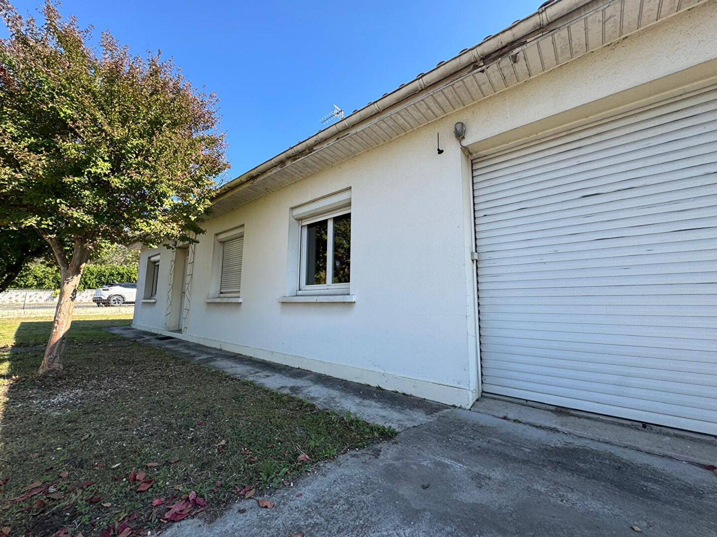 Photo IDEAL PRIMO ACCEDANT OU INVESTISSEMENT PLAIN-PIED 3 CHAMBRES image 4/6