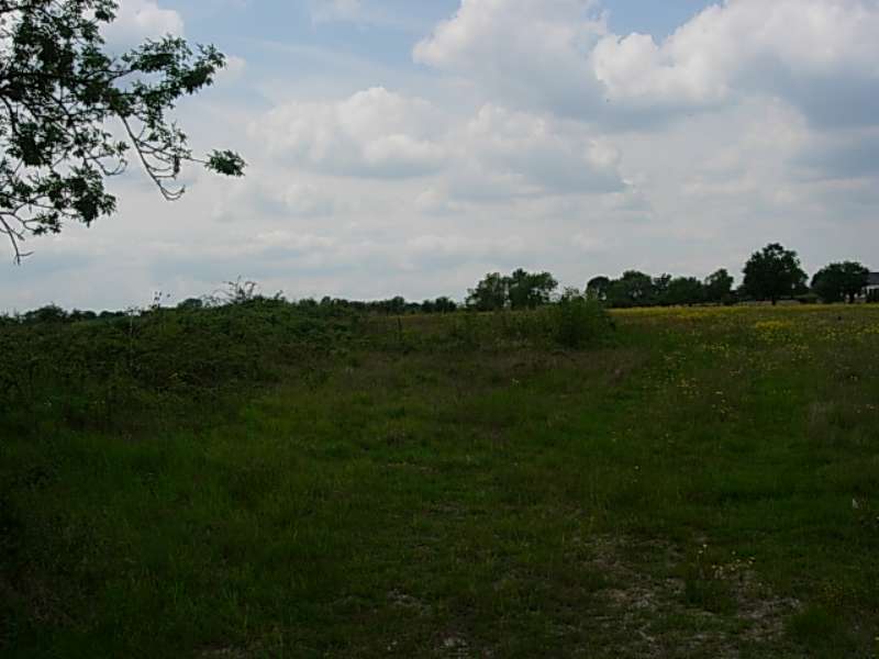 Photo Terrain - MONTRELAIS image 2/4