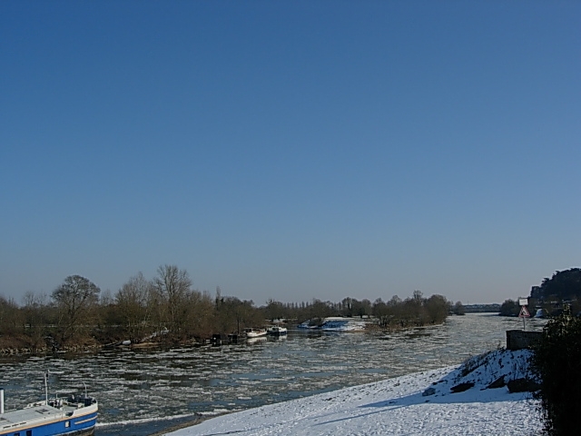 Photo Terrain - MONTJEAN SUR LOIRE image 1/1