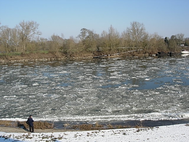 Photo Terrain - MONTJEAN SUR LOIRE image 1/1