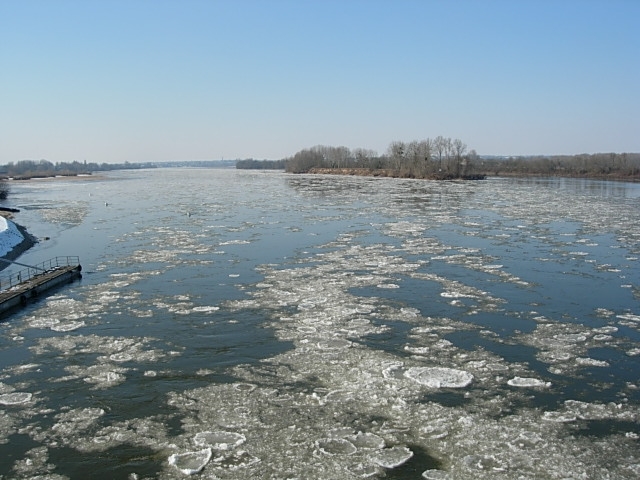 Photo Terrain - MONTJEAN SUR LOIRE image 1/1