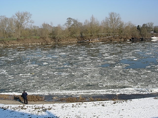 Photo Terrain - MONTJEAN SUR LOIRE image 1/1