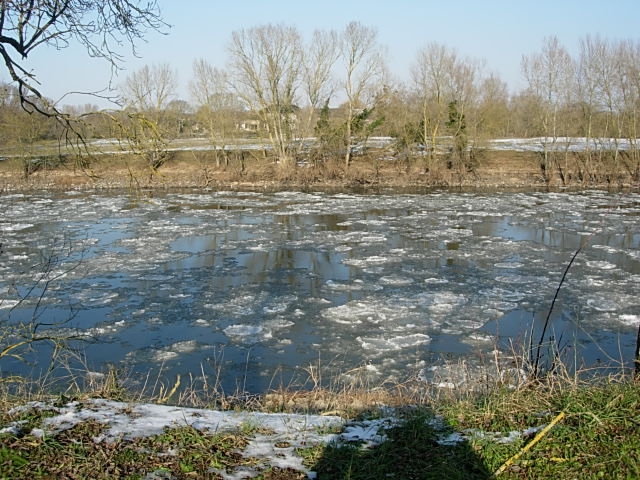 Photo Terrain - MONTJEAN SUR LOIRE image 1/1