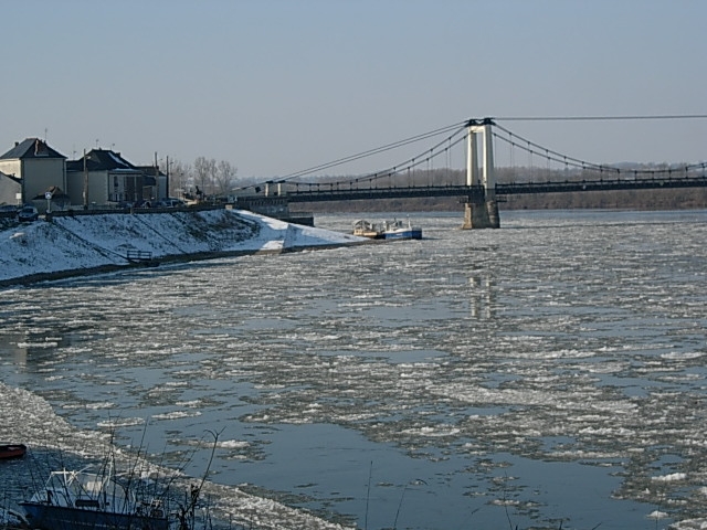 Terrain - MONTJEAN SUR LOIRE