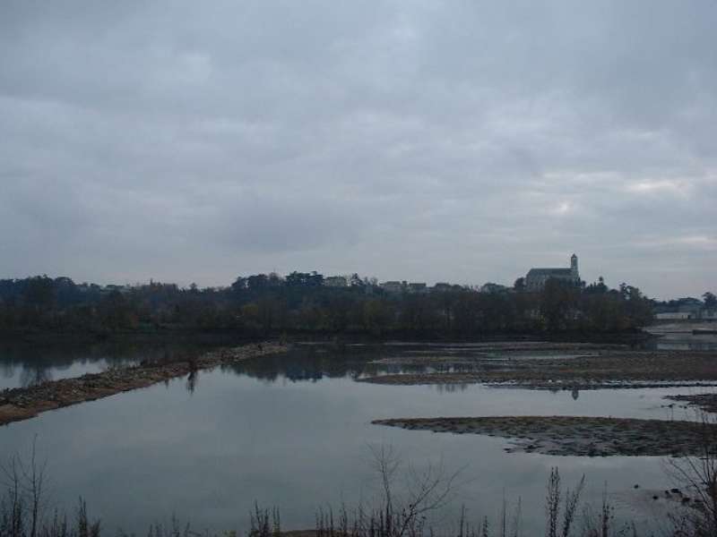 Terrain - MONTJEAN SUR LOIRE
