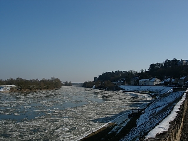 Terrain - MONTJEAN SUR LOIRE