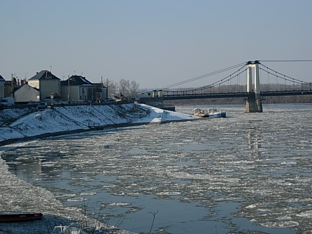 Terrain - MONTJEAN SUR LOIRE