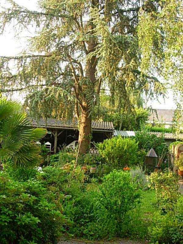 Photo Maison - MONTJEAN SUR LOIRE image 4/5