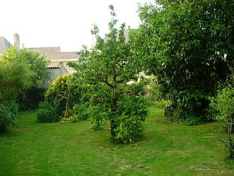 Photo Maison - MONTJEAN SUR LOIRE image 5/5