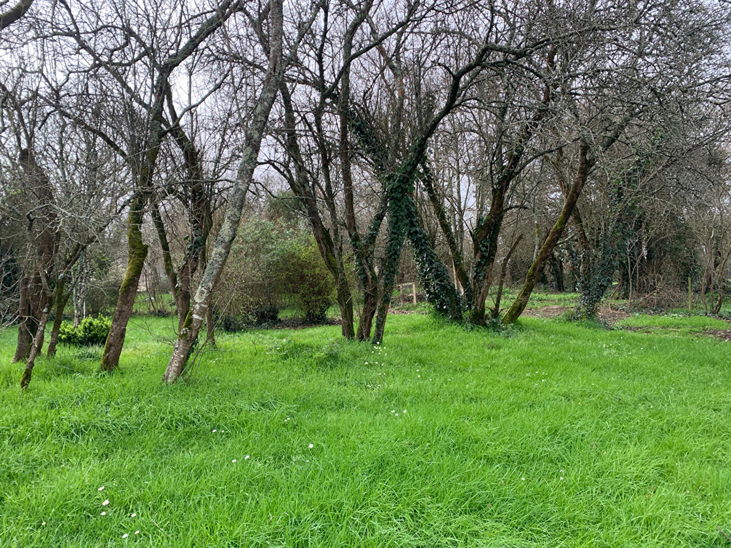 Photo Terrain Herbignac 609 m2 image 1/6
