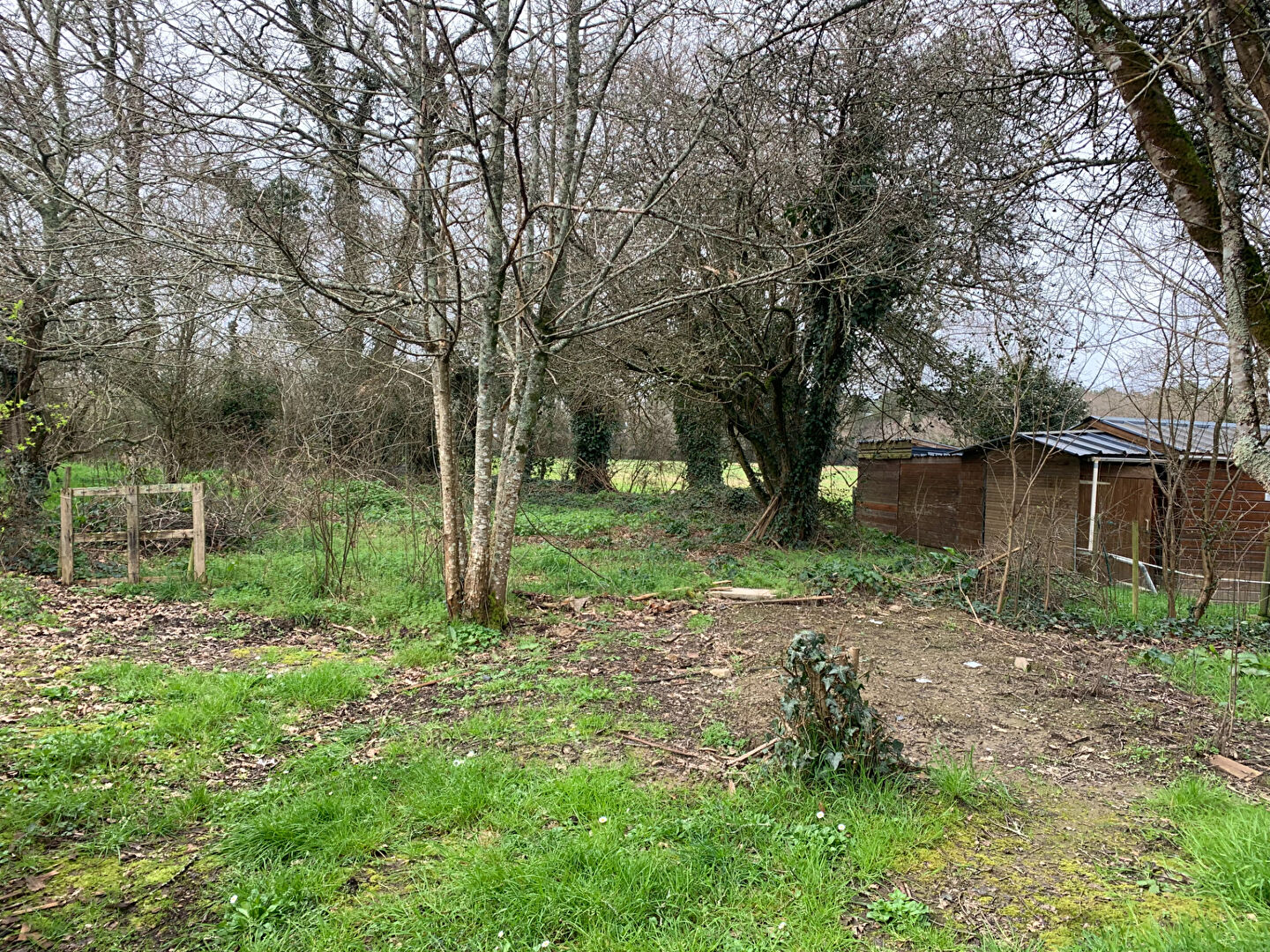 Photo Terrain Herbignac 609 m2 image 2/6
