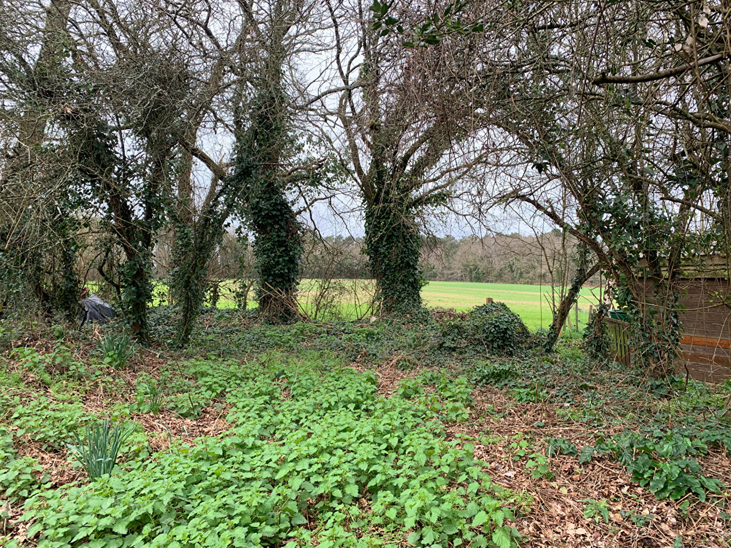 Photo Terrain Herbignac 609 m2 image 3/6