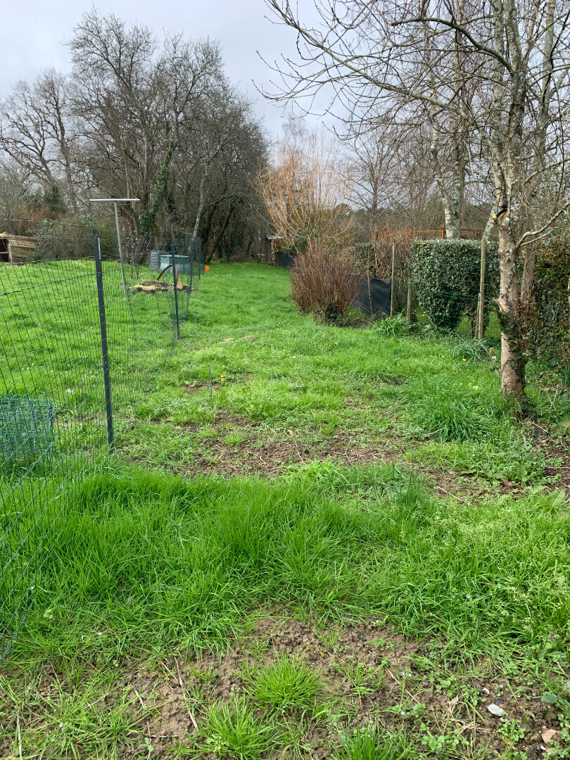 Photo Terrain Herbignac 609 m2 image 4/6