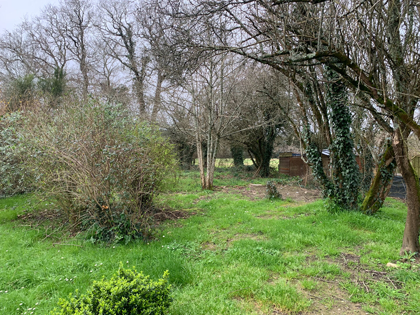 Photo Terrain Herbignac 609 m2 image 5/6