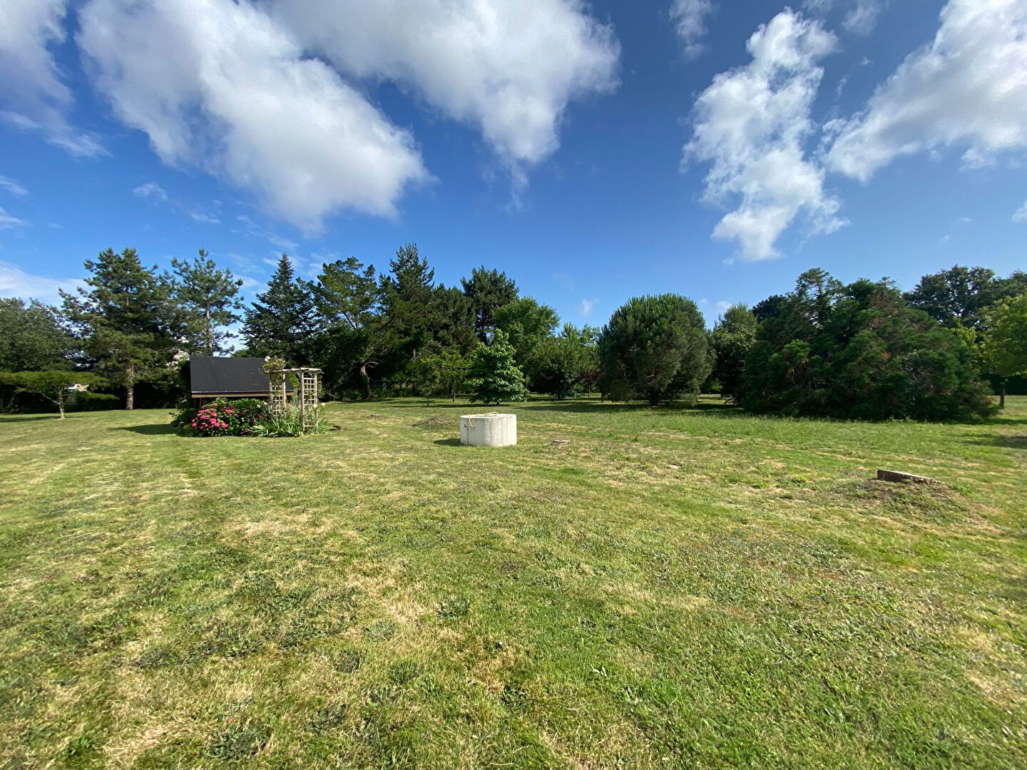 Photo Maison plein centre ! image 6/6