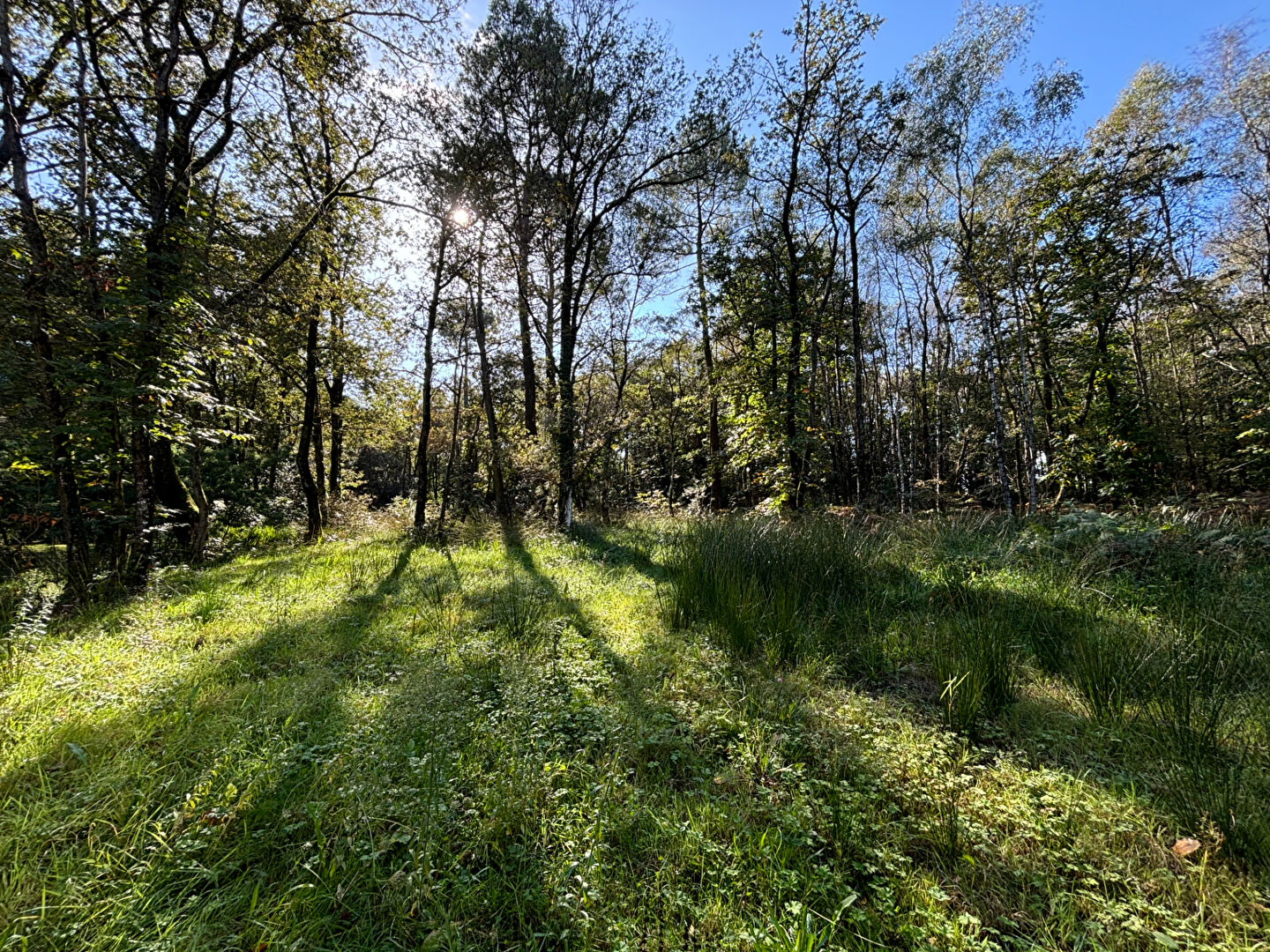 Photo Maison Herbignac 4 pièce(s) 106.18 m2 image 3/3