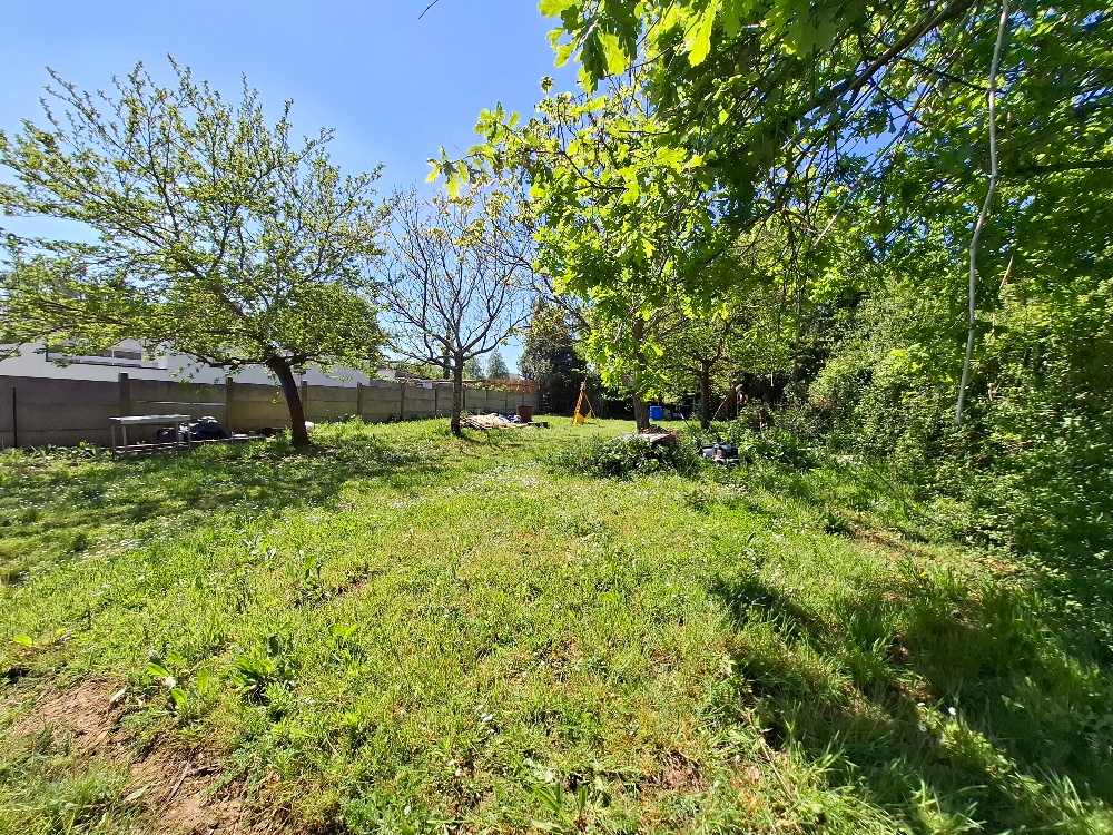 Photo Terrain 446m2 image 2/5