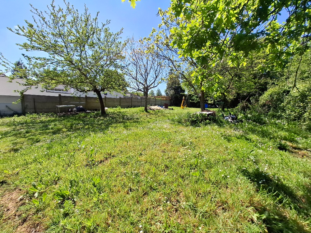 Photo Terrain 446m2 image 3/5