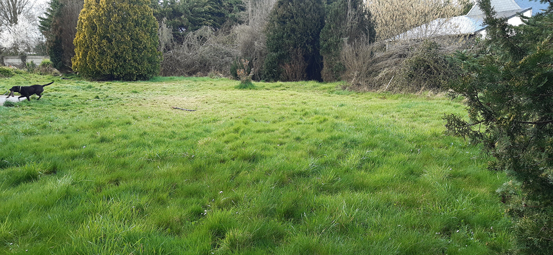 Photo Terrain Donges 322 m2 image 2/2