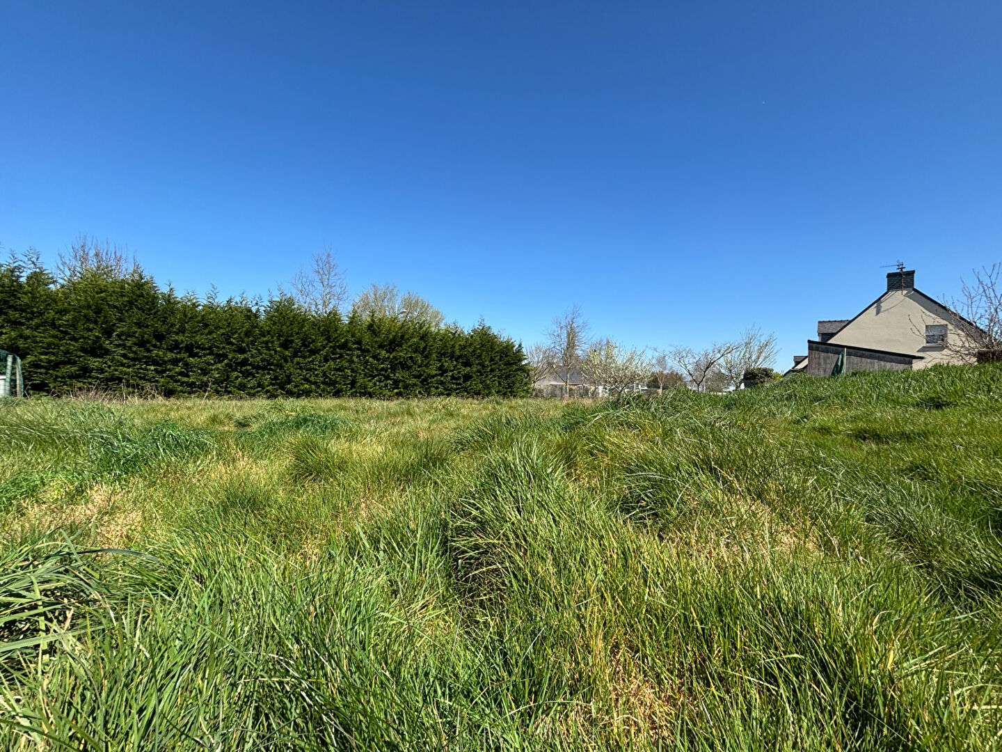 Terrain Saint Molf 499 m2