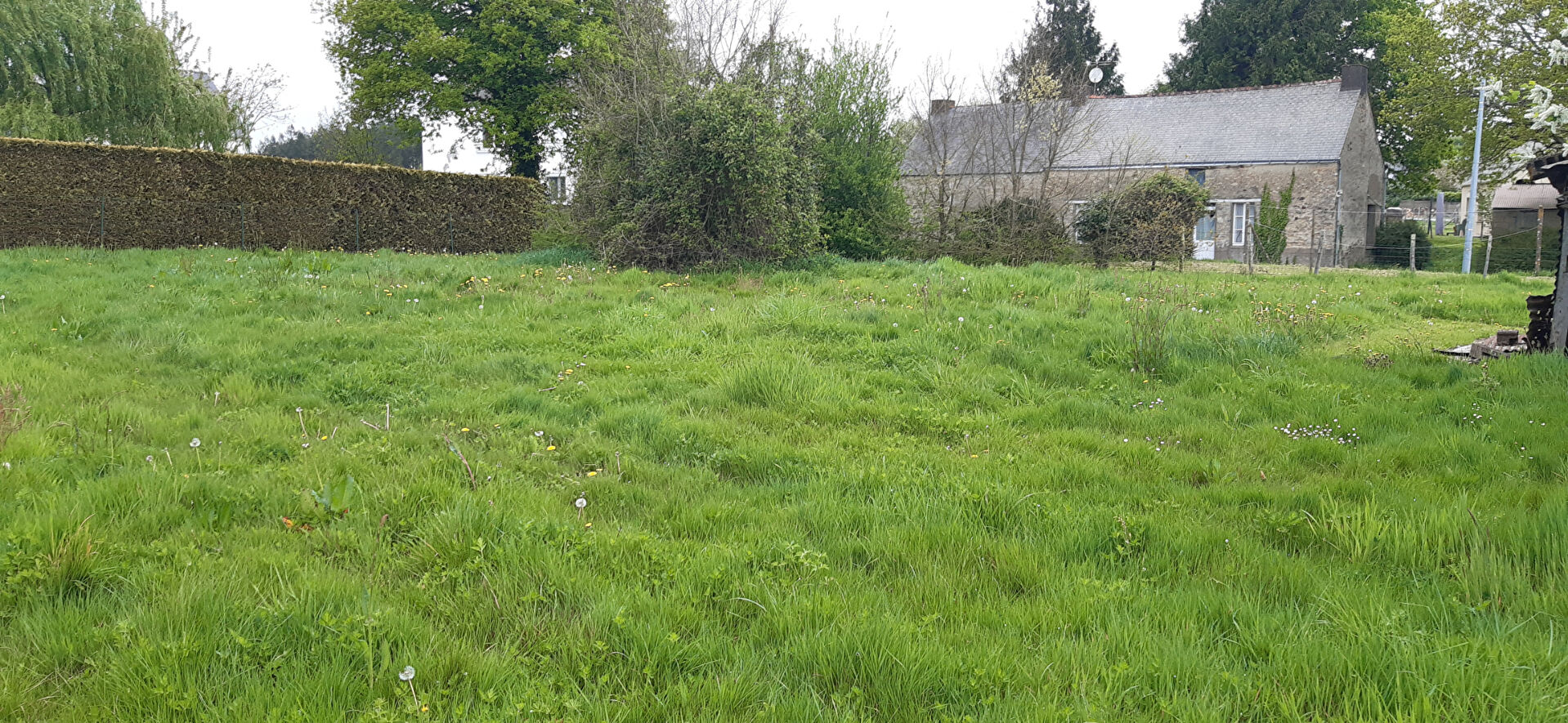 Photo Terrain Missillac 1000 m2 image 1/2