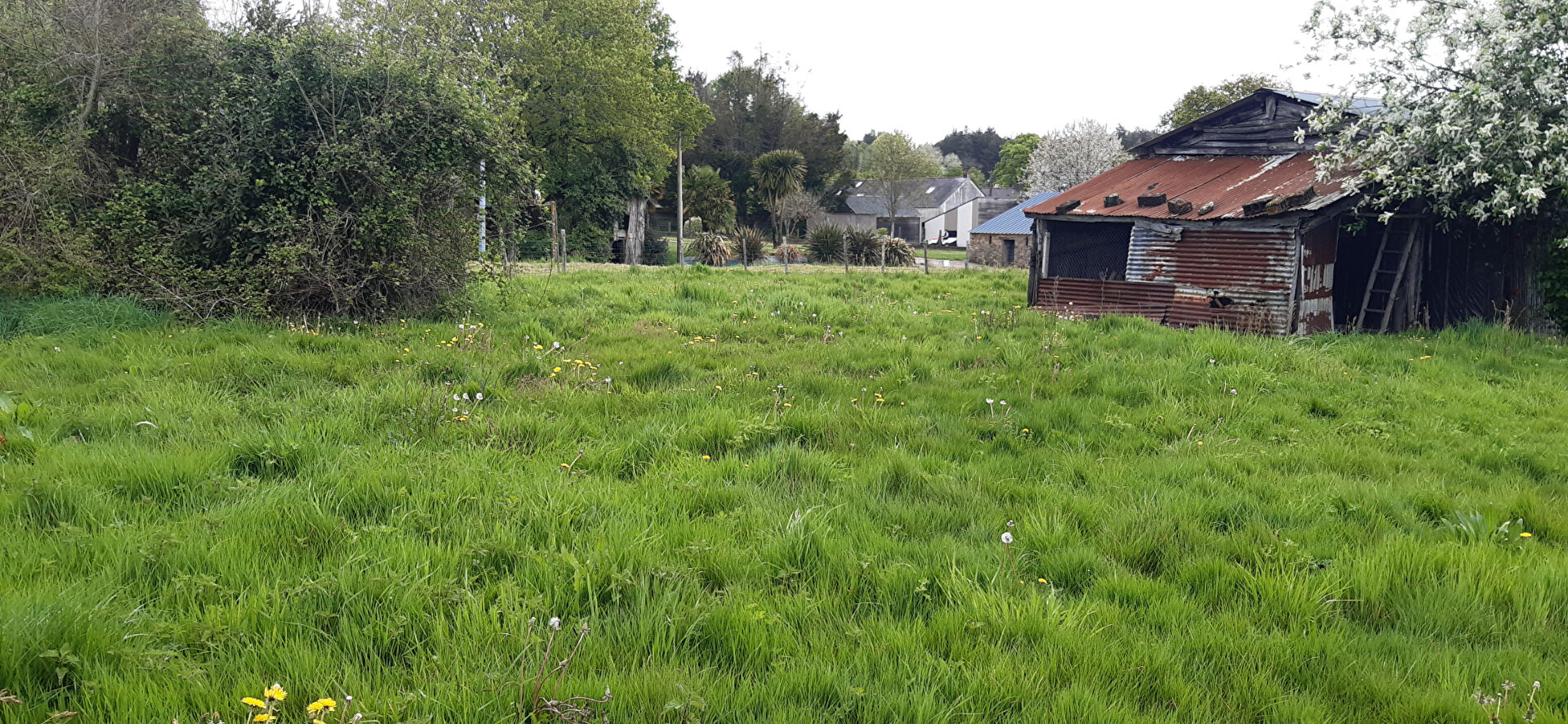 Photo Terrain Missillac 1000 m2 image 2/2