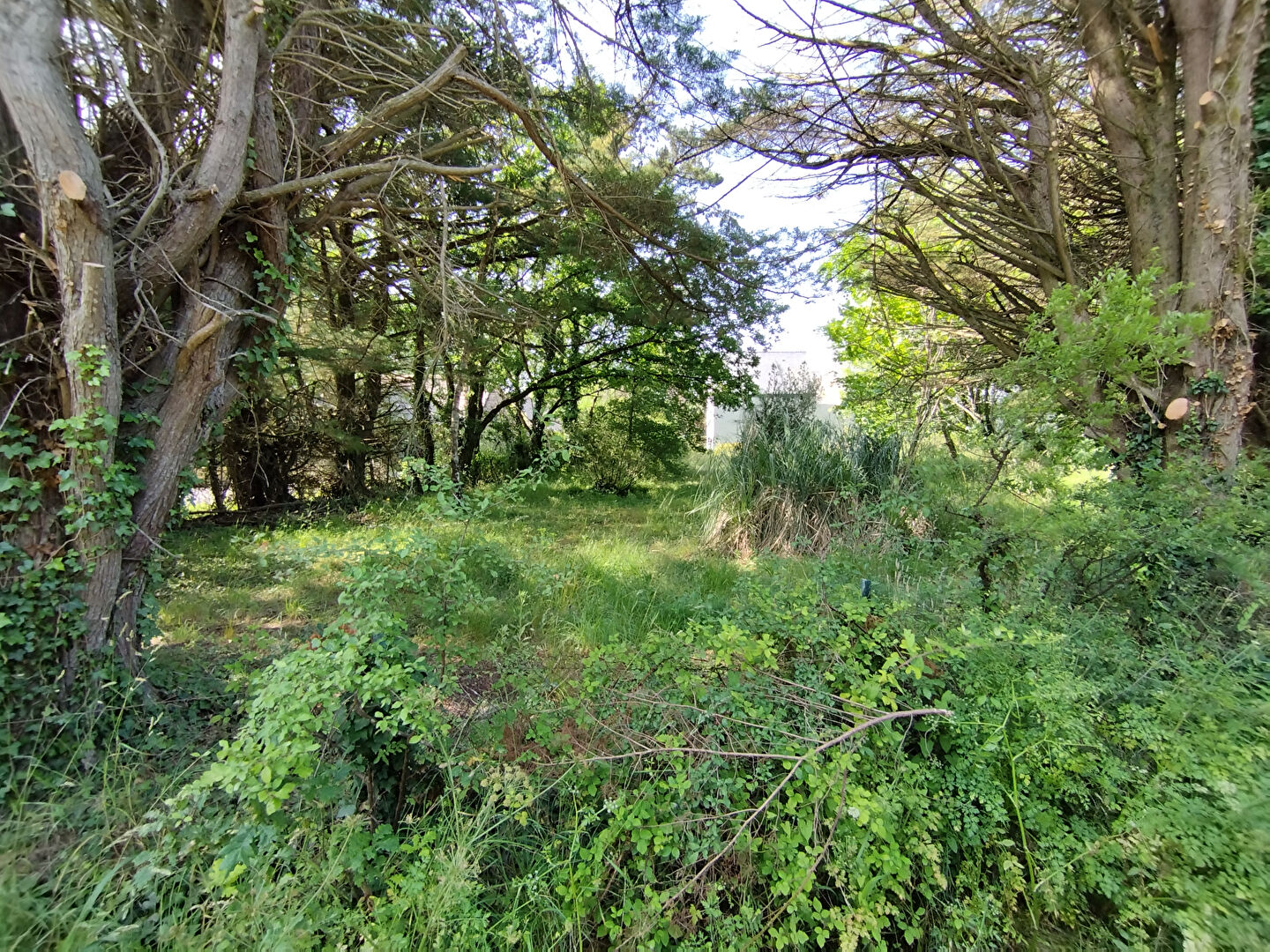 Terrain Saint Lyphard 324 m2