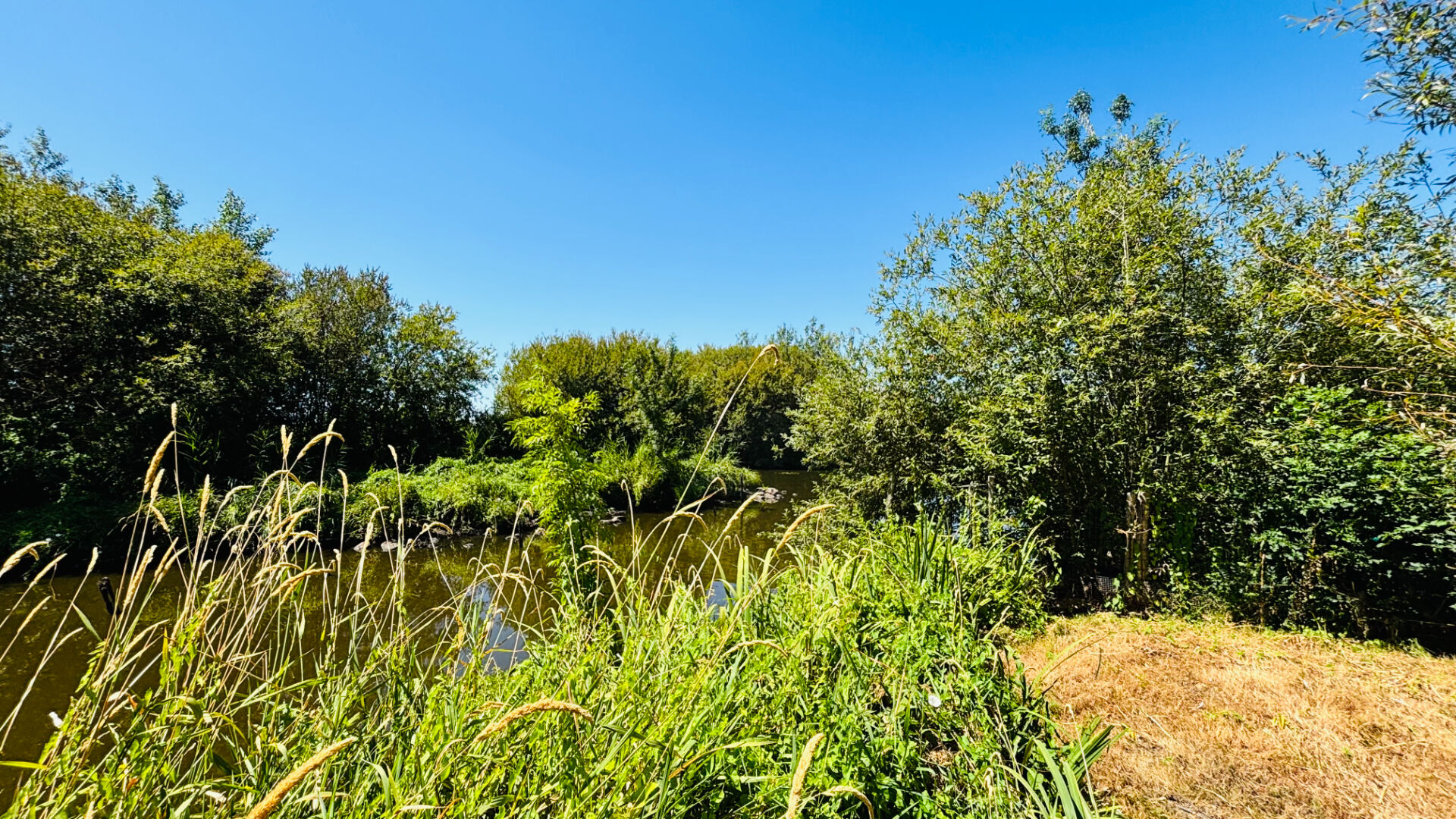 Photo Terrain à bâtir d'exception, Île de Fédrun (Saint-Joachim) image 3/6