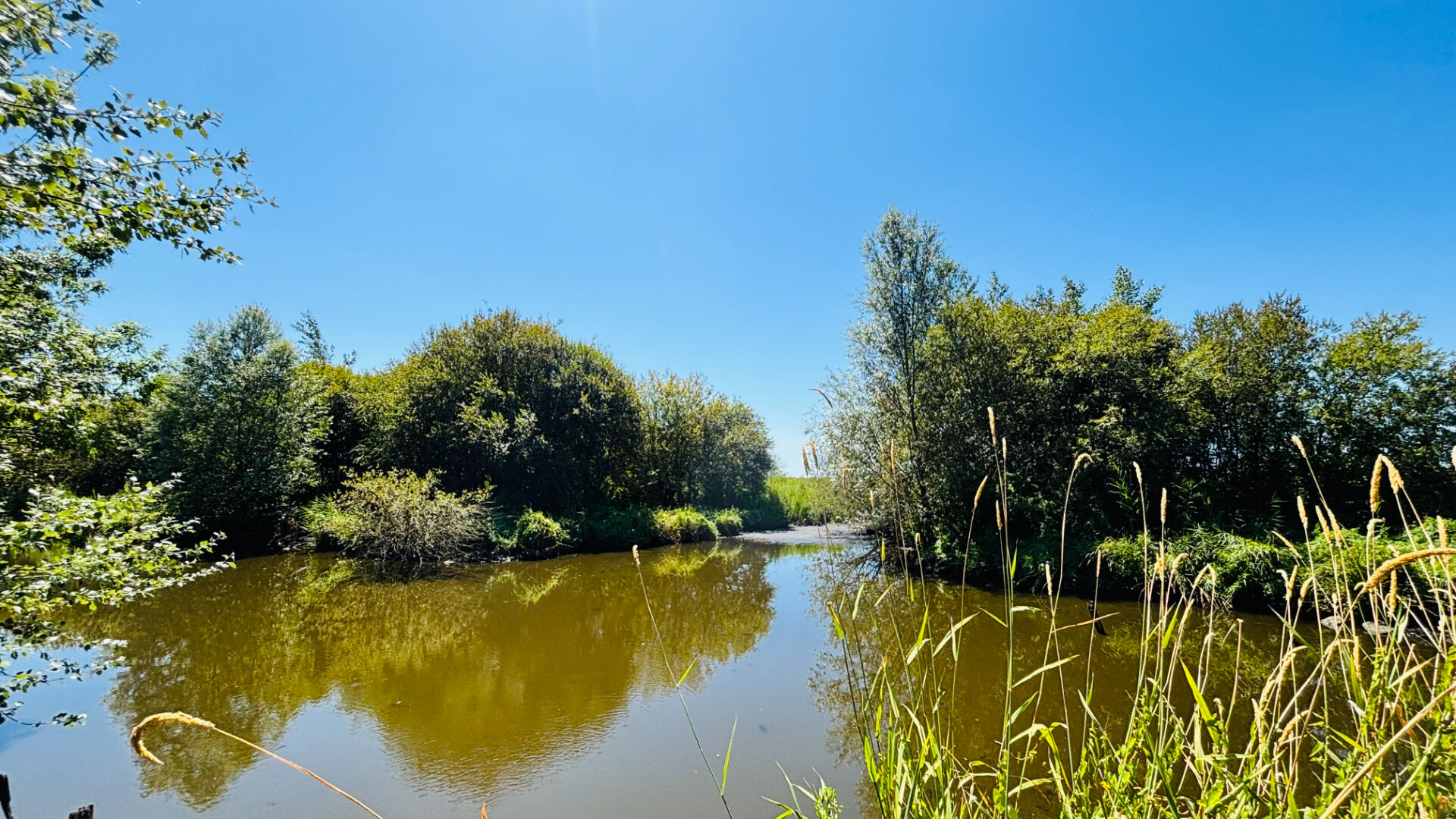 Photo Terrain à bâtir d'exception, Île de Fédrun (Saint-Joachim) image 4/6