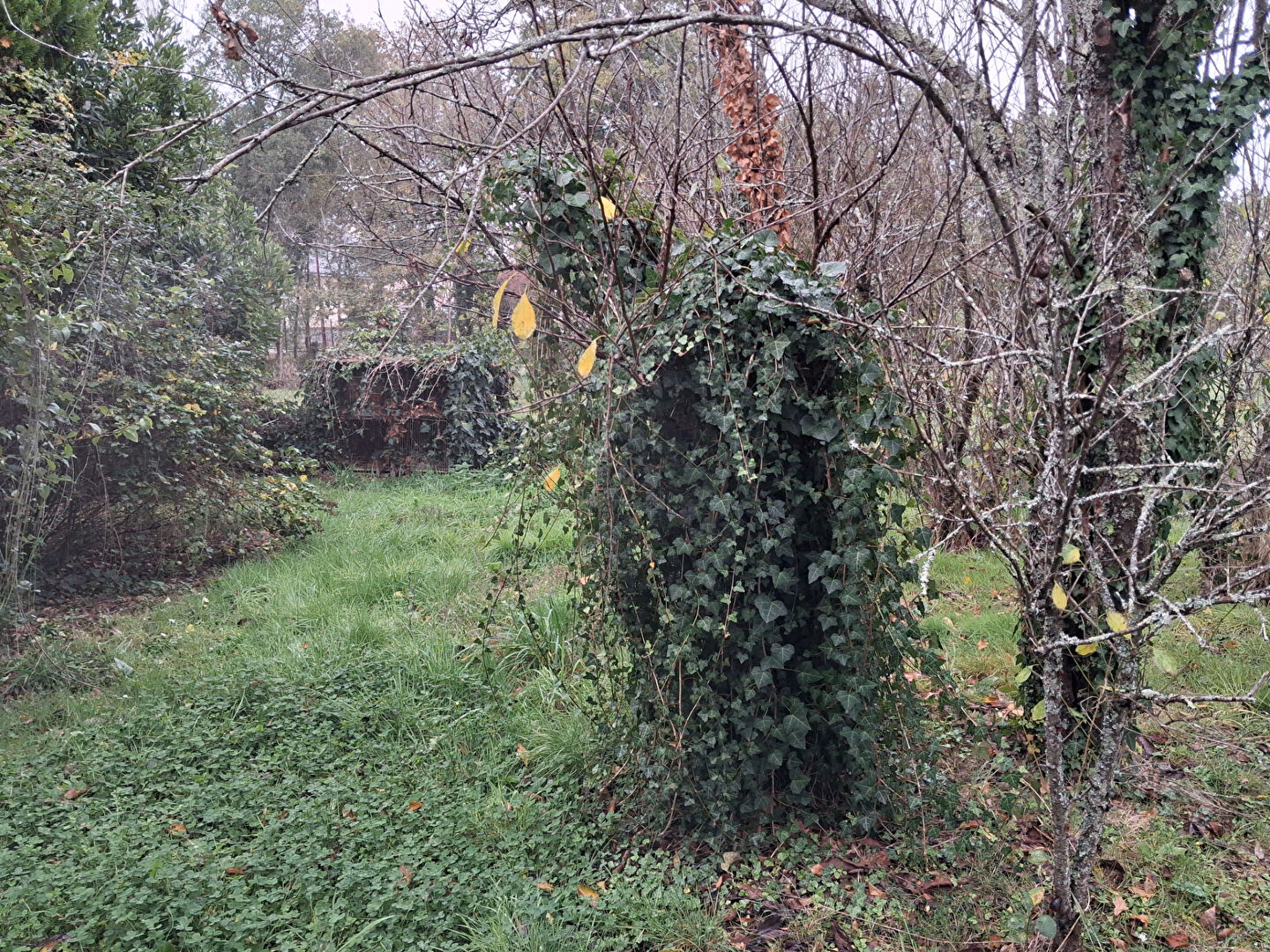 Photo Terrain Besne 383 m2 image 2/3