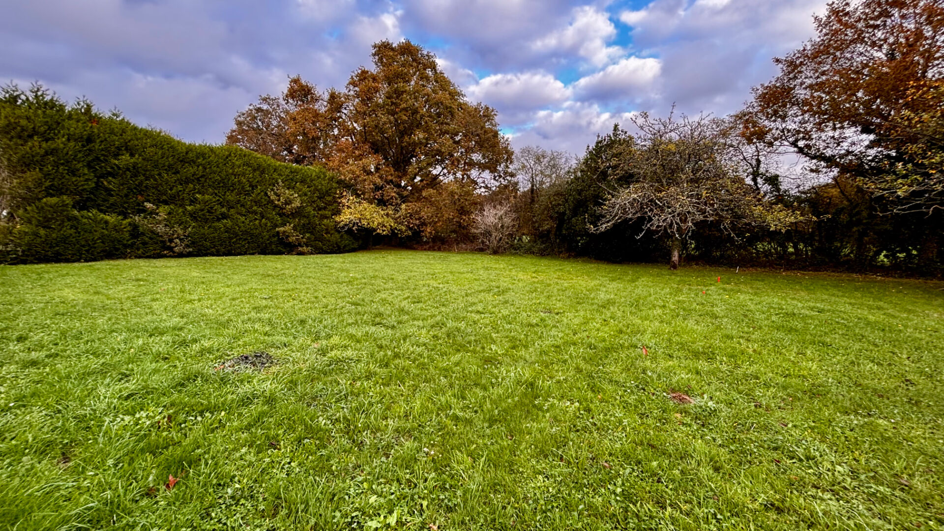 TERRAIN A BATIR - FEREL CENTRE