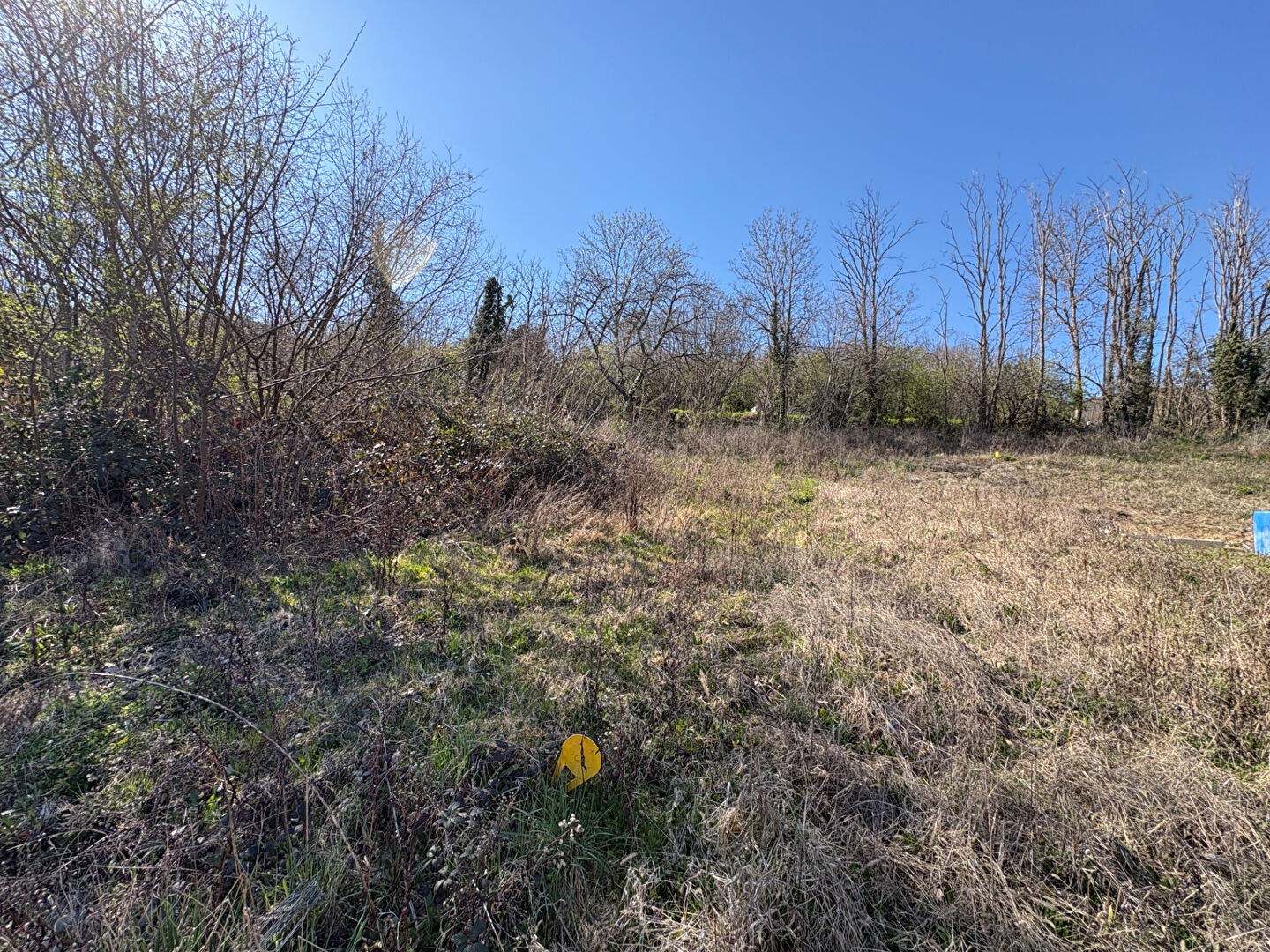 Agence immobilière de Weiss Immobilier - Weiss Immobilier