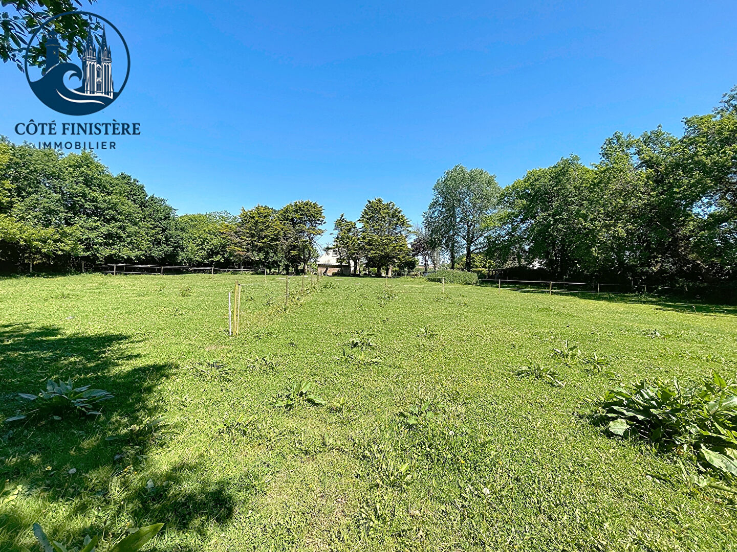 Photo Idéal si vous avez un cheval image 4/6