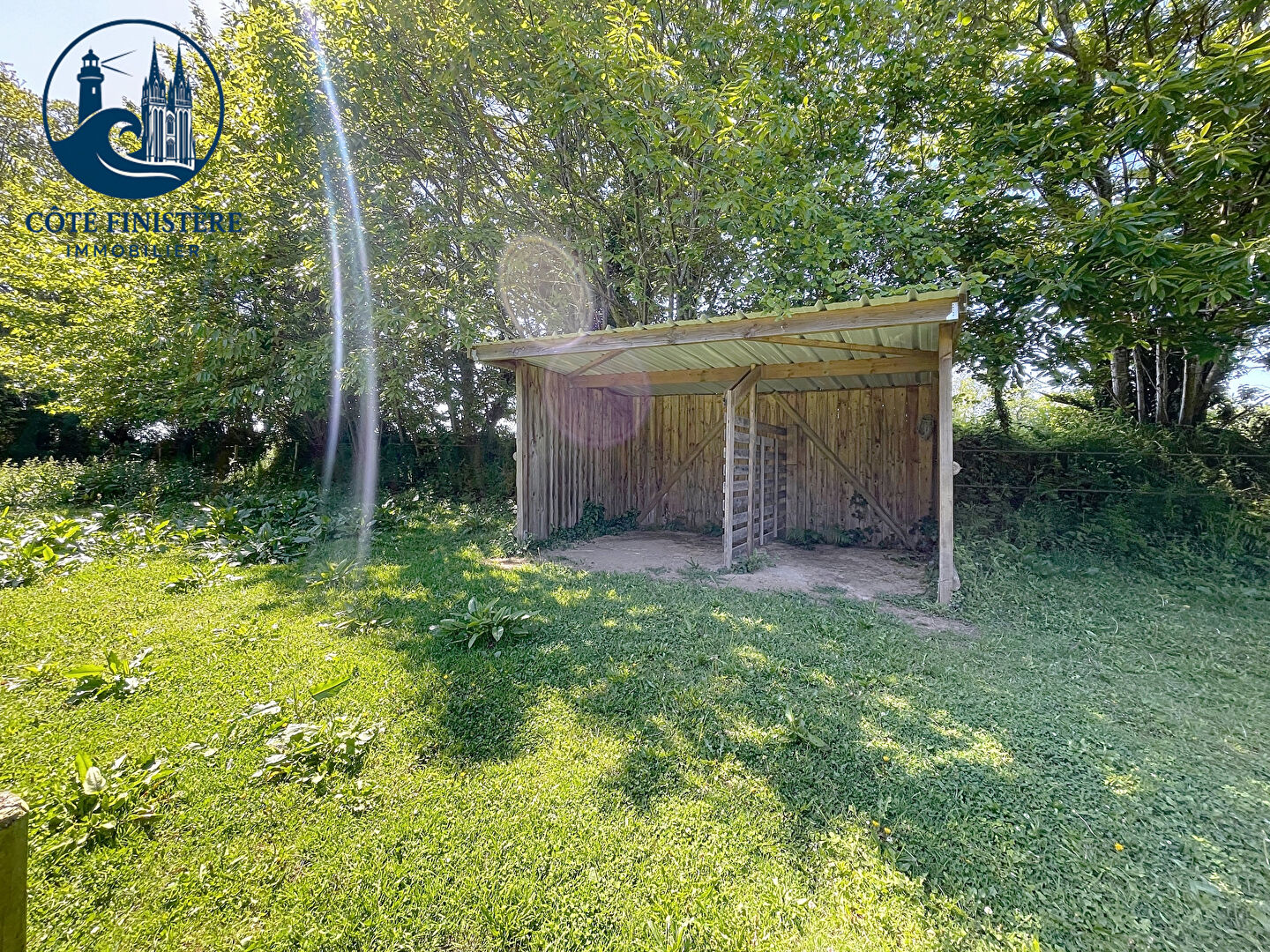 Photo Idéal si vous avez un cheval image 5/6