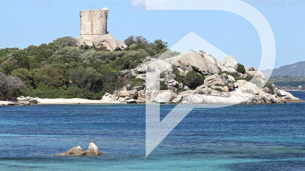 Photo Appartement T2 36,01m² Cala di Pianottuli image 4/6