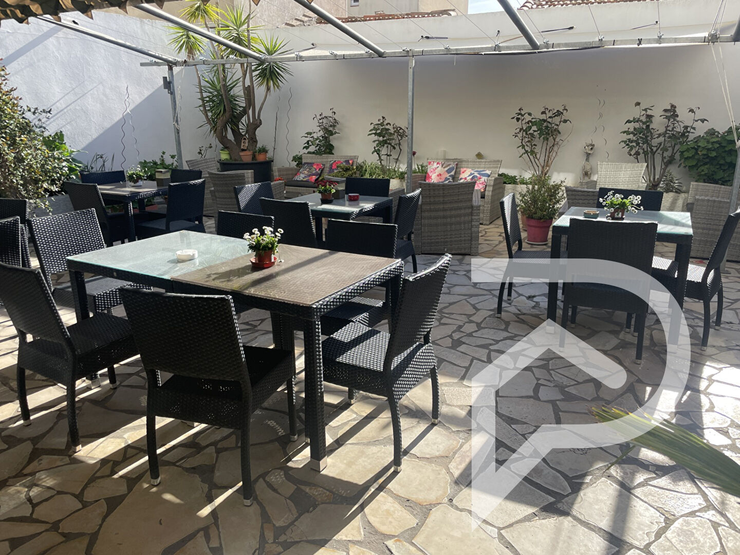 Agence immobilière de Stéphane Plaza Immobilier Sète - Stéphane Plaza Immobilier Sète