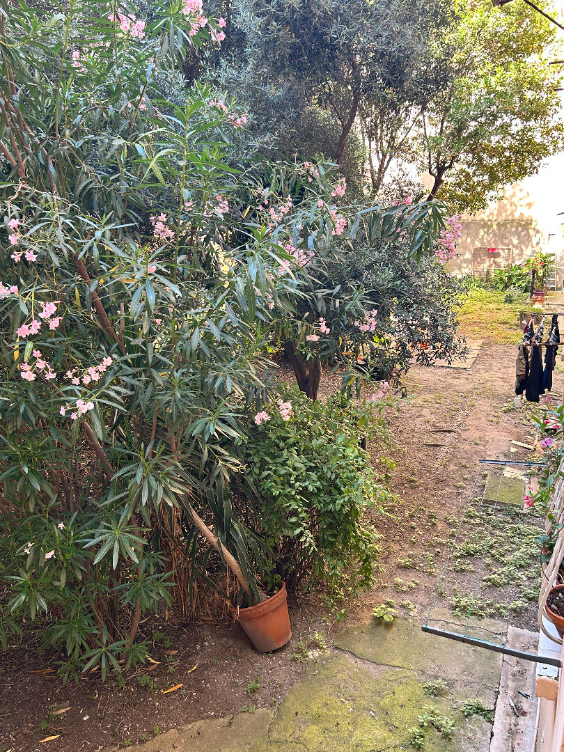 Photo Appartement Sete 5 pièce(s) 75 m2 image 6/6